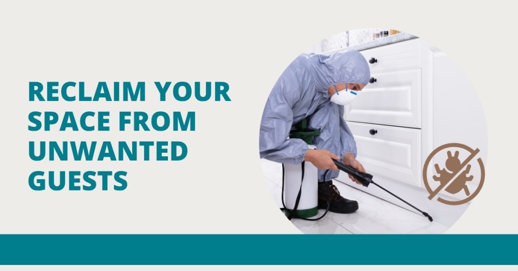 Reclaim your Space from Unwanted Guests