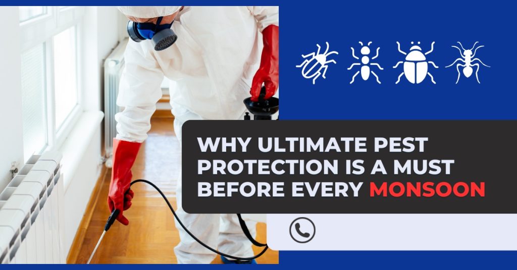Why Ultimate Pest Protection Is a Must Before Every Monsoon