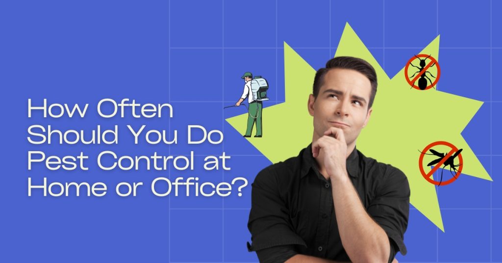 How Often Should You Do Pest Control at Home or Office