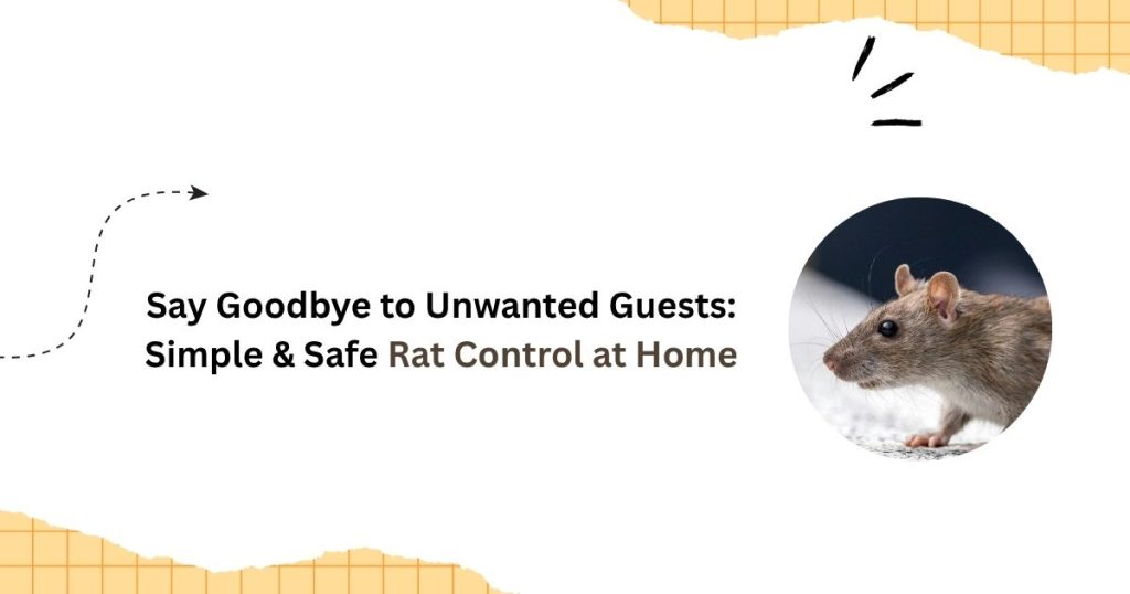 Rat Control at Home