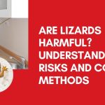 Are Lizards Harmful? Understanding Risks and Control Methods