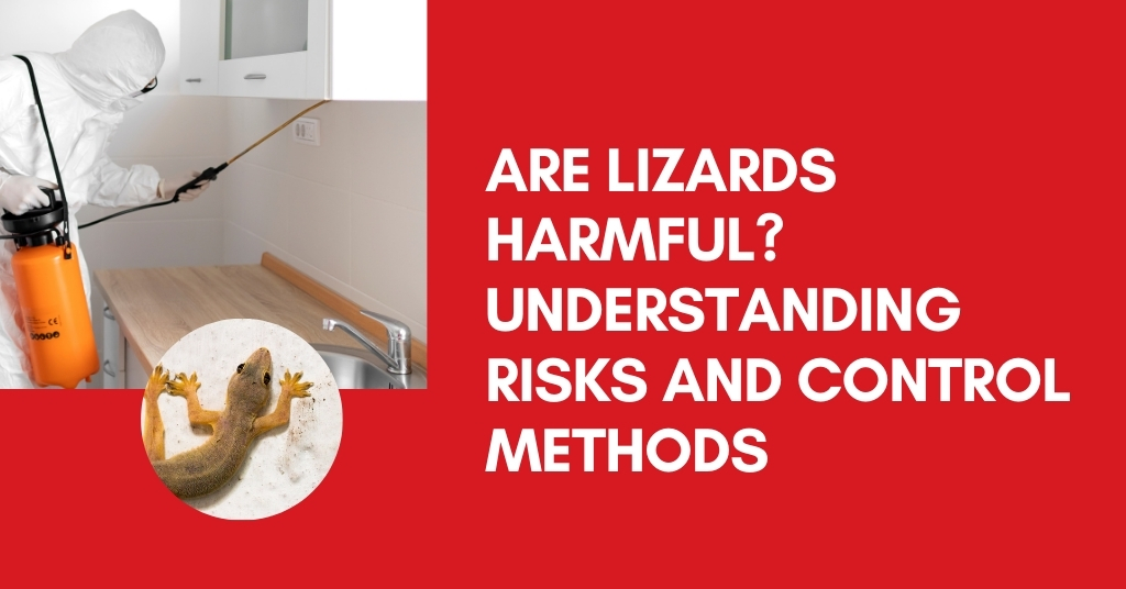 Are Lizards Harmful? Understanding Risks and Control Methods