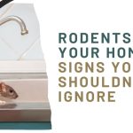 Rodents in Your Home? Signs You Shouldn’t Ignore