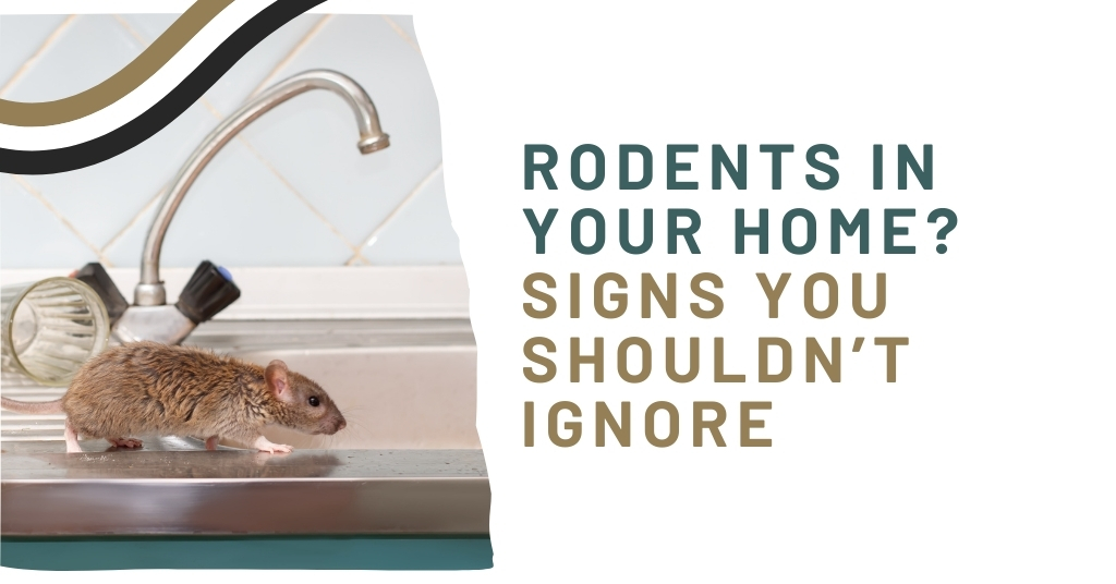 Rodents in Your Home? Signs You Shouldn’t Ignore
