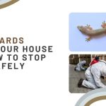 Why Lizards Enter Your House and How to Stop Them Safely